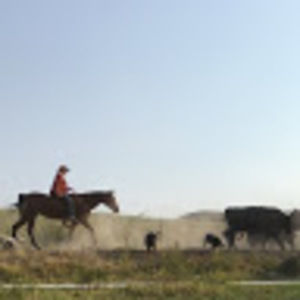 Meet your Posher, Madelyn